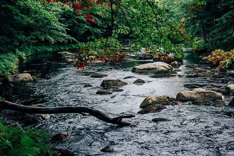 Slapfoot Trail von Jake's Landing zum Meadow Beach