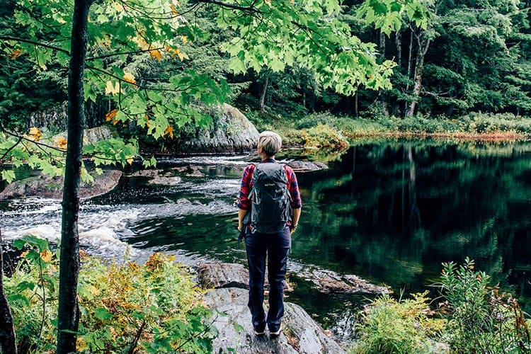 Hemlocks und Hardwoods Trail