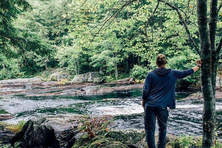 Hemlocks und Hardwoods Trail