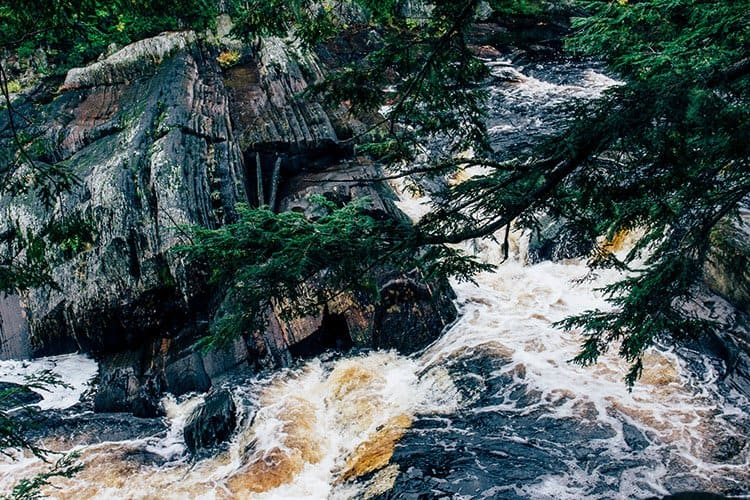 Hemlocks und Hardwoods Trail