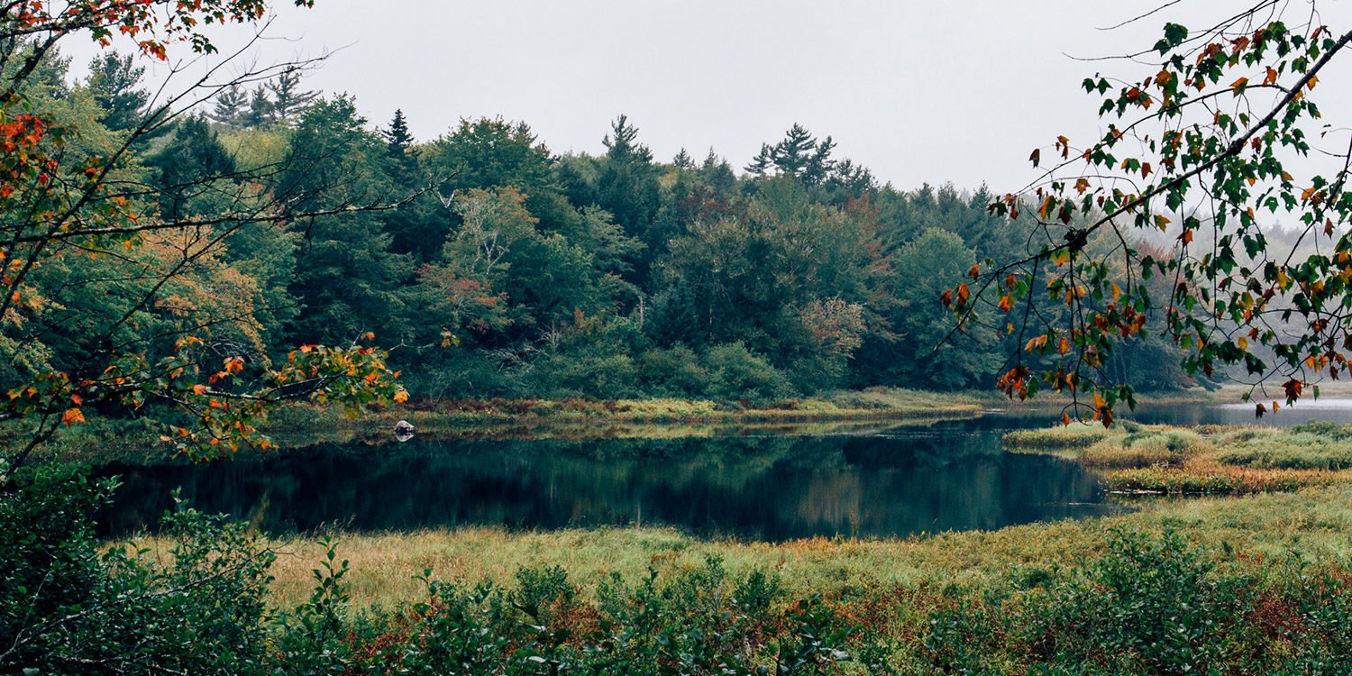 Bezaubernde Tage und magische Nächte im Kejimkujik National Park