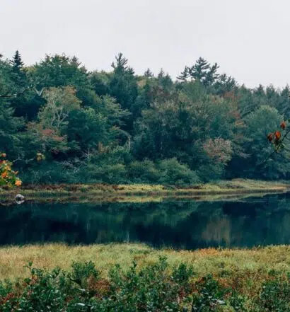 Bezaubernde Tage und magische Nächte im Kejimkujik National Park