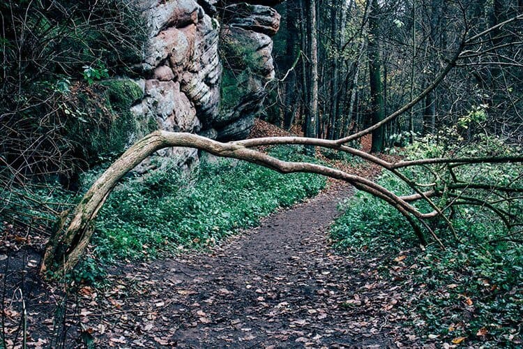 Never feelin‘ blue – Eine Herbstwanderung zum Alten Kanal