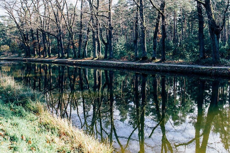 Herbstidylle am Ludwig-Main-Donau-Kanal