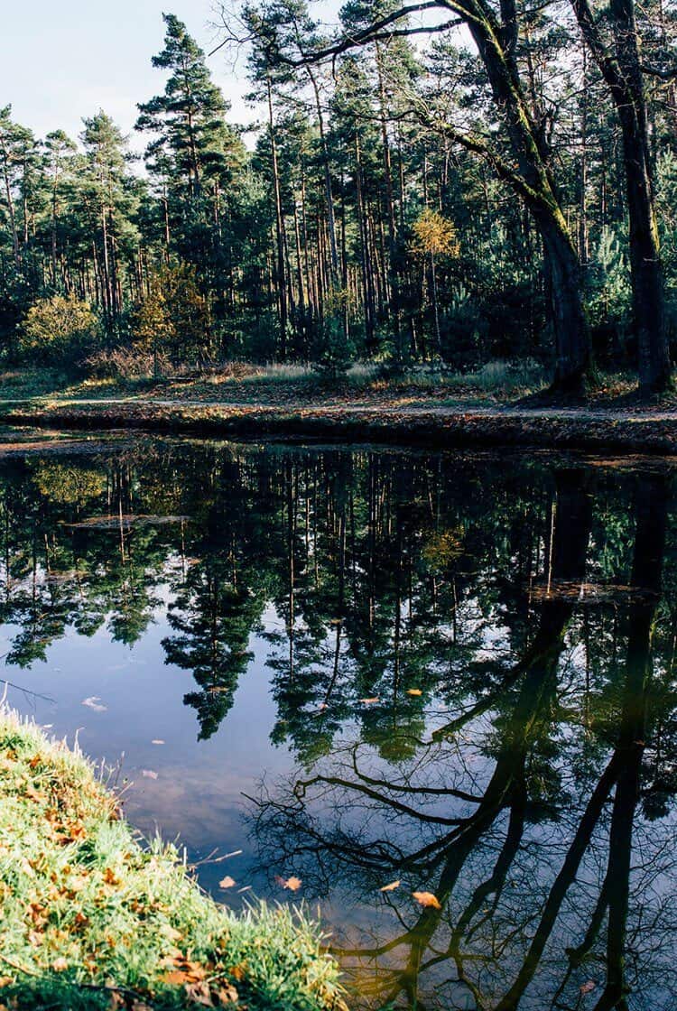 Herbstidylle am Ludwig-Main-Donau-Kanal