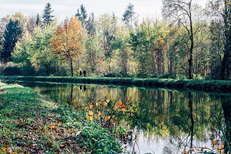 Herbstidylle am Ludwig-Main-Donau-Kanal