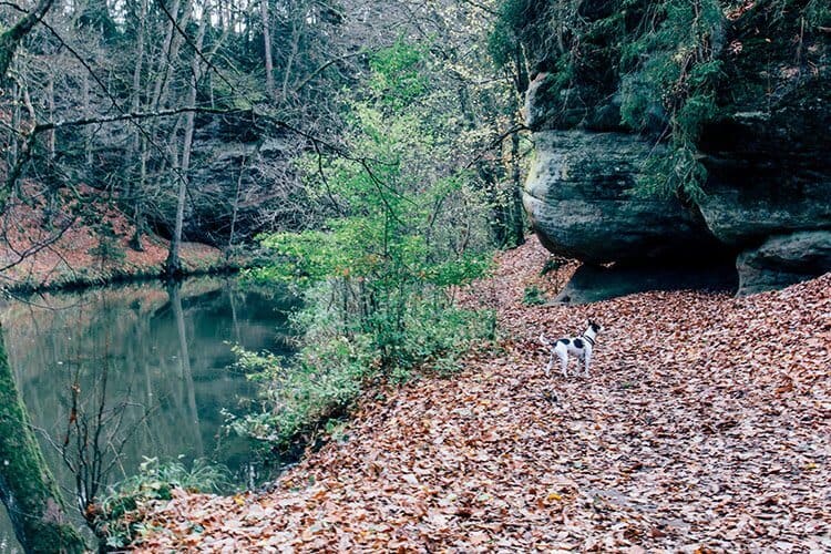 Never feelin‘ blue – Eine Herbstwanderung zum Alten Kanal