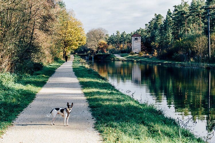 Herbstidylle am Ludwig-Main-Donau-Kanal