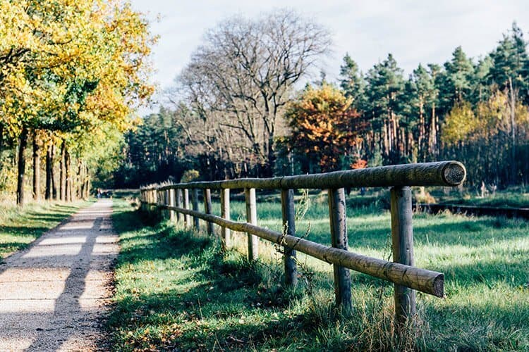 Herbstidylle am Ludwig-Main-Donau-Kanal