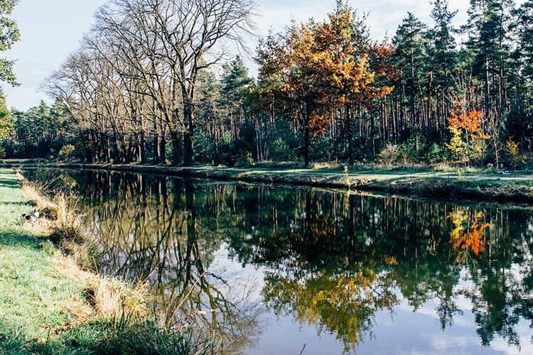 Herbstidylle am Ludwig-Main-Donau-Kanal