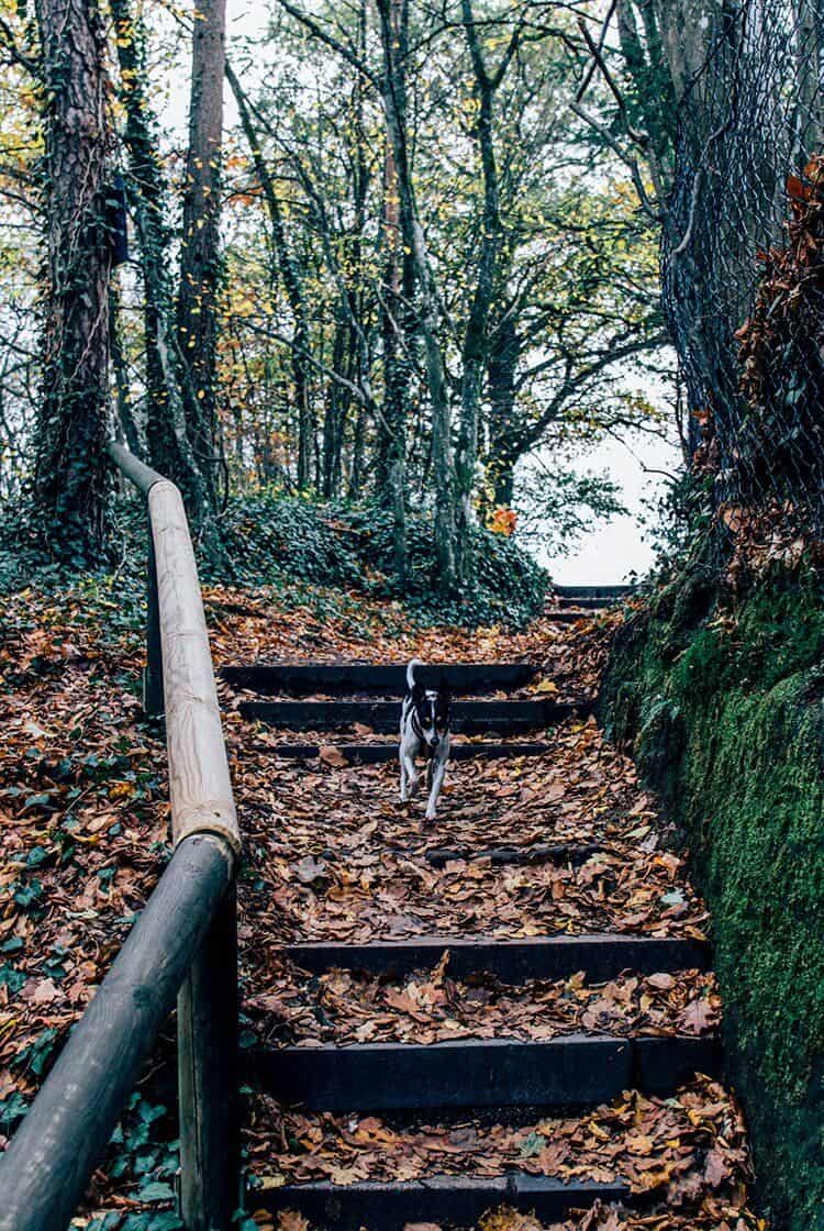 Never feelin‘ blue – Eine Herbstwanderung zum Alten Kanal