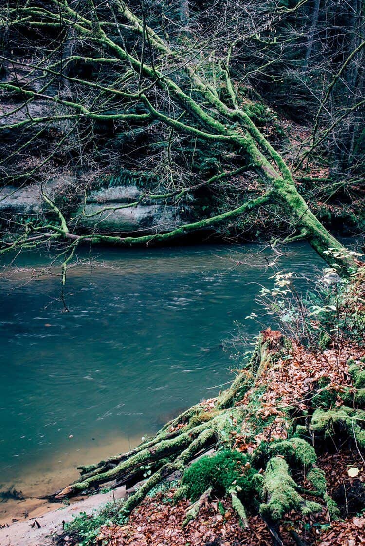 Never feelin‘ blue – Eine Herbstwanderung zum Alten Kanal