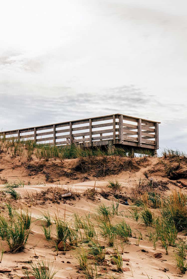 Cavendish Dunelands Trail