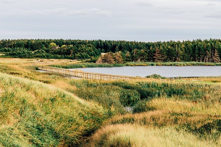 Cavendish Dunelands Trail