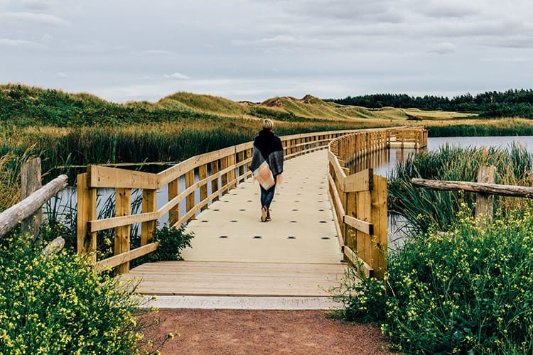 Cavendish Dunelands Trail