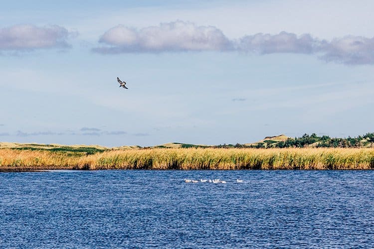 Greenwich Dunelands Trail