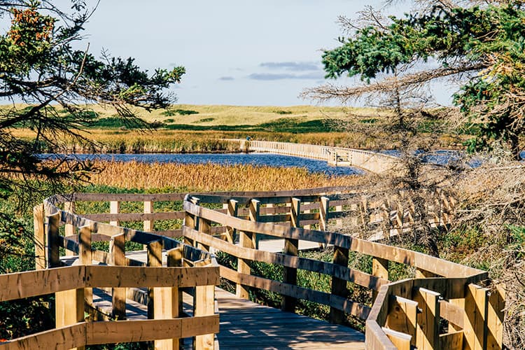 Greenwich Dunelands Trail