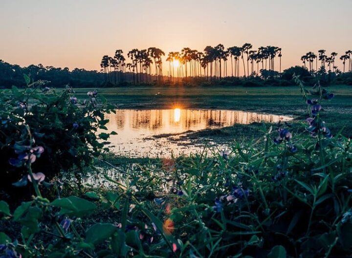 Casuarina Beach, Jaffna Halbinsel, Sri Lanka