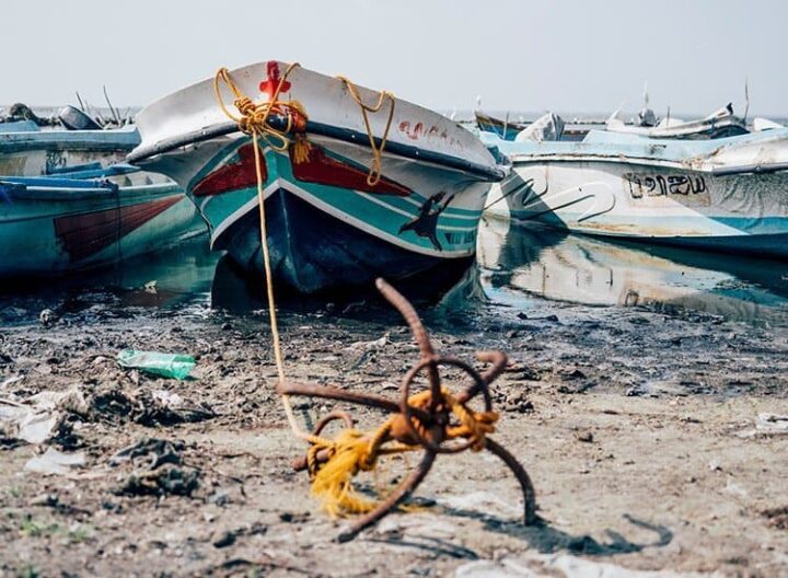 Der Fischmarkt in Jaffna, Sri Lanka