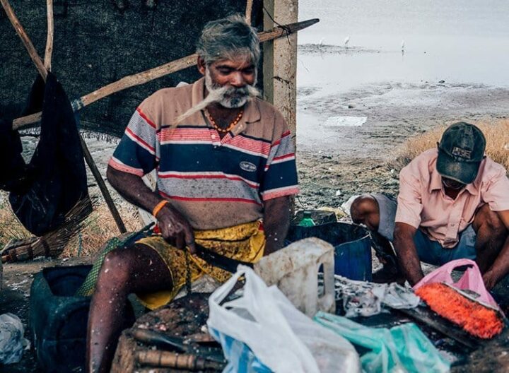Der Fischmarkt in Jaffna, Sri Lanka
