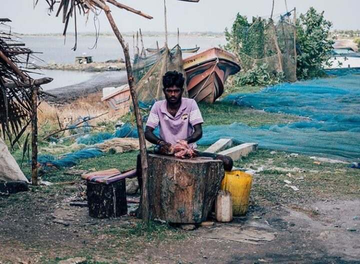 Der Fischmarkt in Jaffna, Sri Lanka