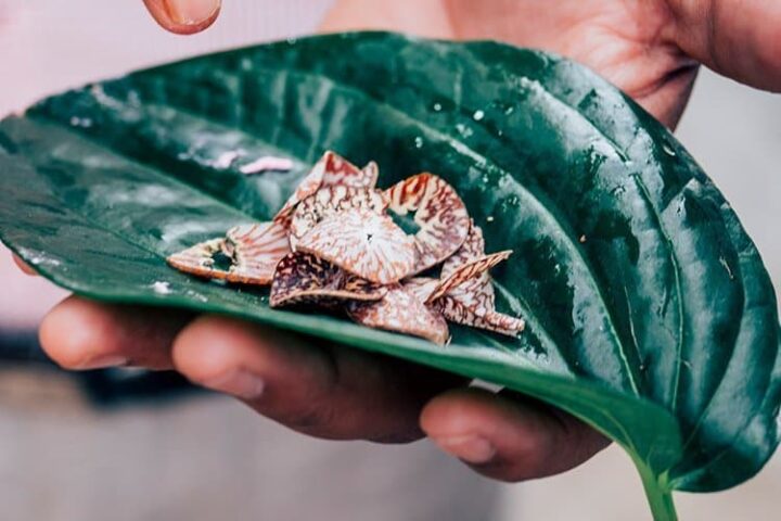 Jaffna Market, Sri Lanka