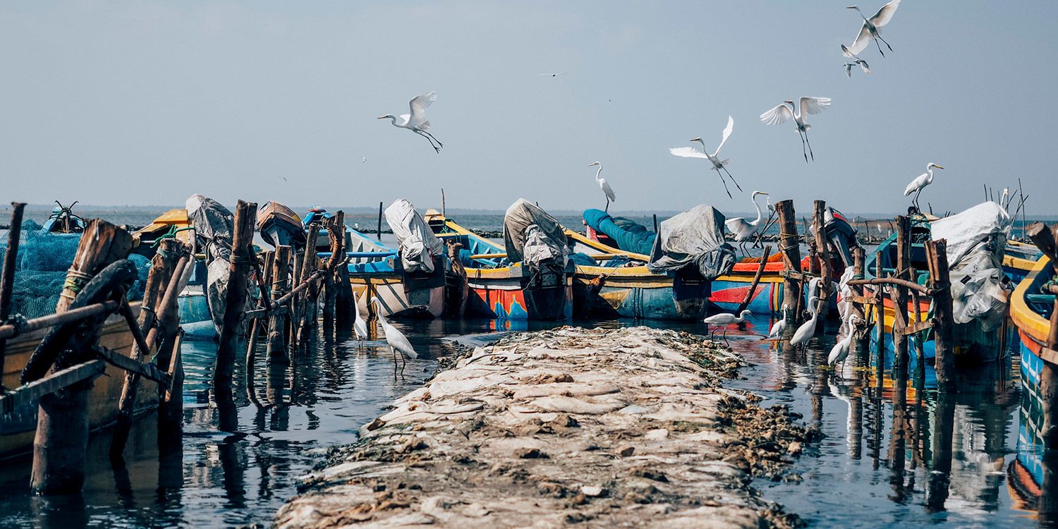 Jaffna – Sri Lankas unbekannter Norden