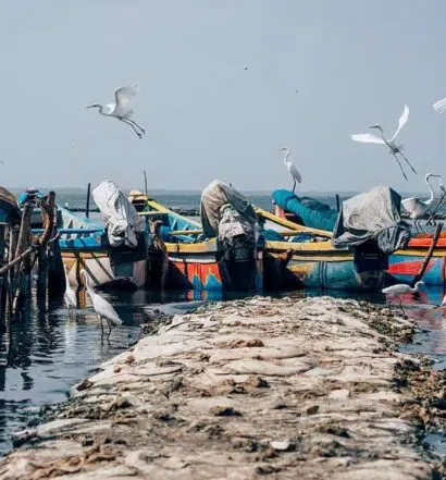 Jaffna – Sri Lankas unbekannter Norden