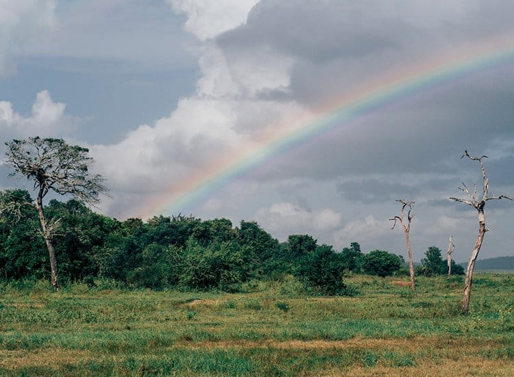 Safari im Kaudulla National Park
