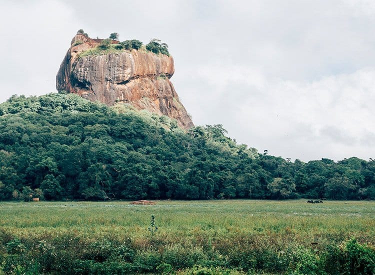 Sigiriya – der Löwenfels