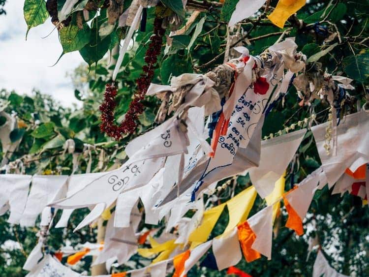 Der heilige Baum – Jaya Sri Maha Bodhi