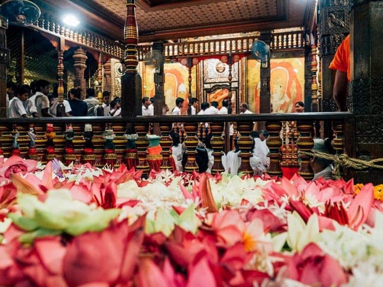 Buddhas Zahn und mehr in Kandy
