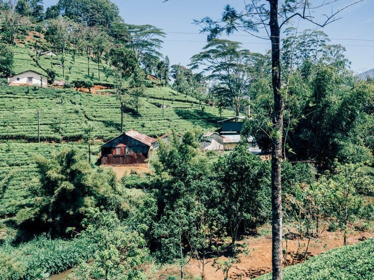 Sri Lanka – Eine Zugfahrt durch das Hochland