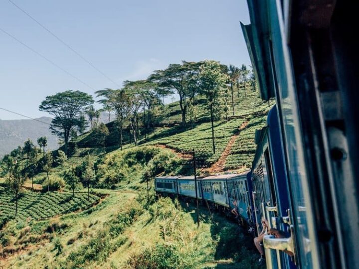 Die Teeplantagen im Hochland Sri Lankas