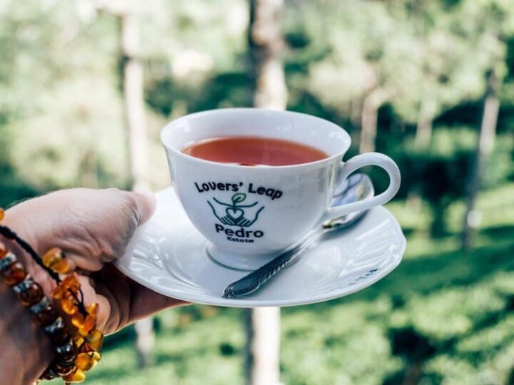 Die Teeplantagen im Hochland Sri Lankas