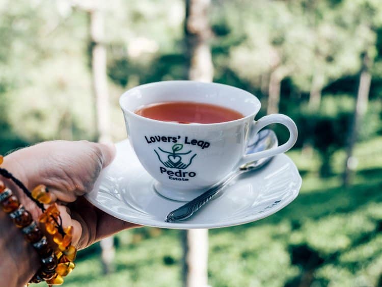 Die Teeplantagen im Hochland Sri Lankas
