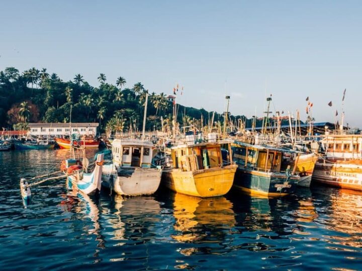 Surfen, Relaxen und Whale Watching in Mirissa