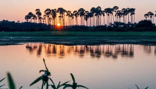 Sri Lanka Rundreise – Die schönsten Sehenswürdigkeiten & Geheimtipps