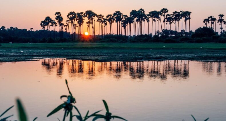 Sri Lanka Rundreise – Meine Reisetipps und Highlights