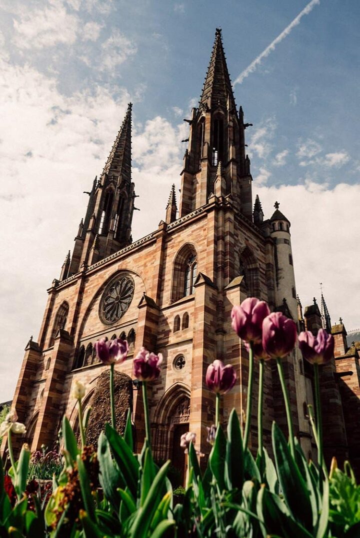 Ein Roadtrip auf der elsässischen Weinstrasse