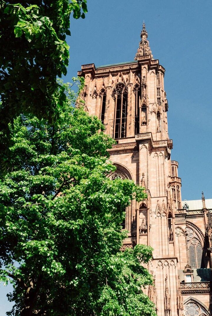 Das Straßburger Münster