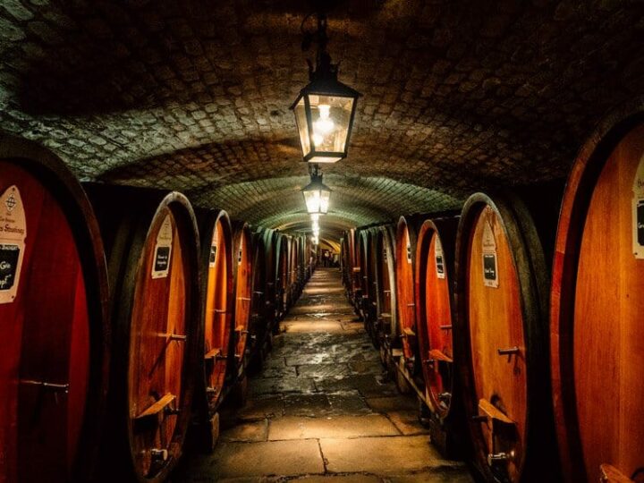 Cave historique des hospices de Strasbourg