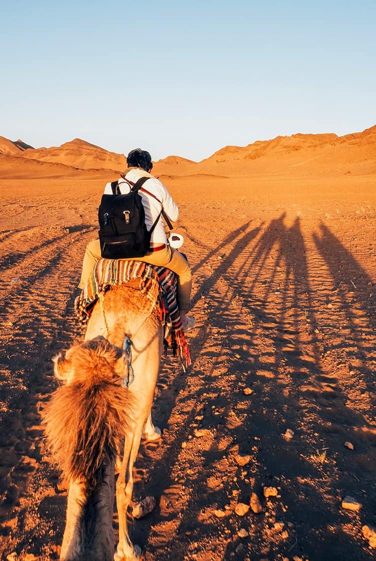 Zagora – das Tor zur Wüste