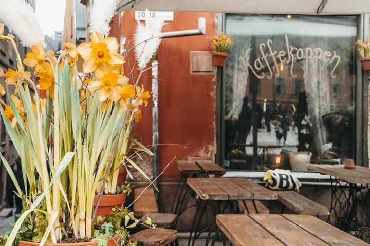 Café Chokladkoppen/Kaffekoppen, Stockholm