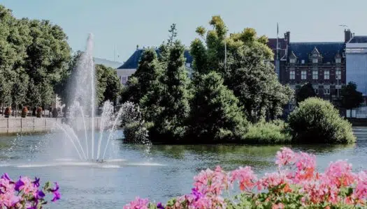 Den Haag Insidertipps – Die schönsten Sehenswürdigkeiten und Restaurants