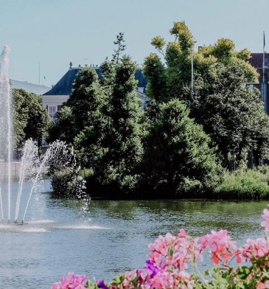 City & Food Guide – Ein Wochenende im niederländischen Den Haag. Insidertipps für die schönsten Sehenswürdigkeiten und Restaurants für deine Städtereise.