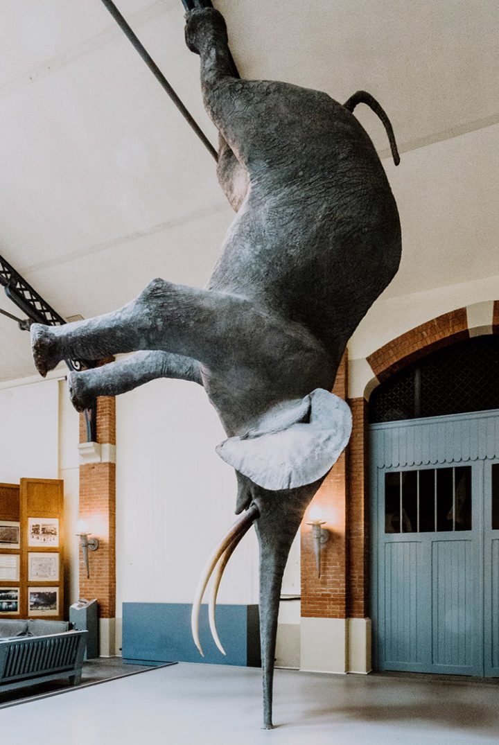 Maison de Champagne Pommery