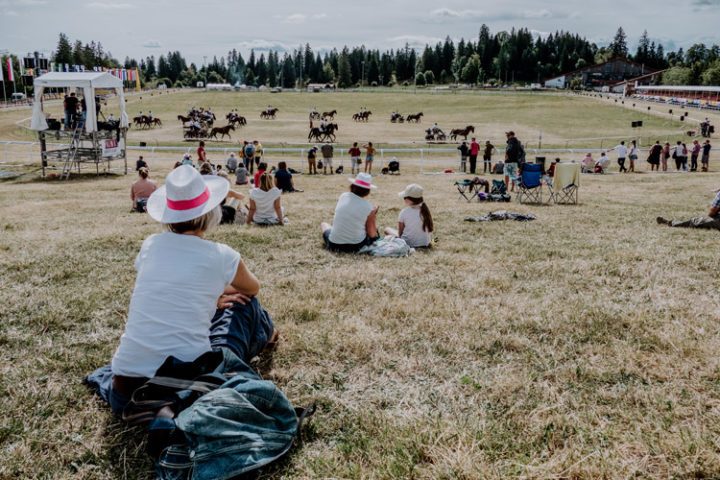 Marché-Concours national de chevaux