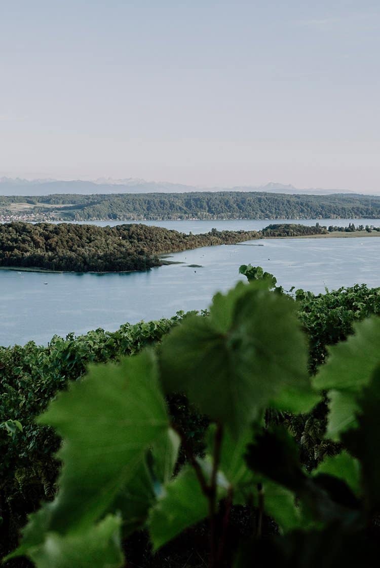 Restaurant Aux Trois Amis