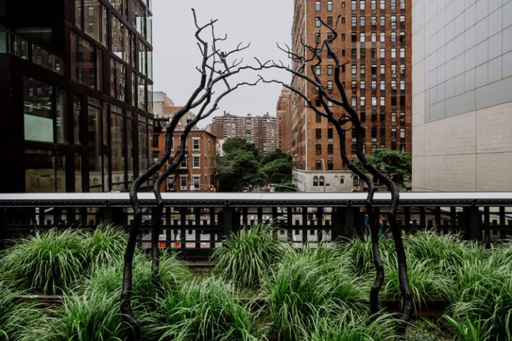 Der High Line Park